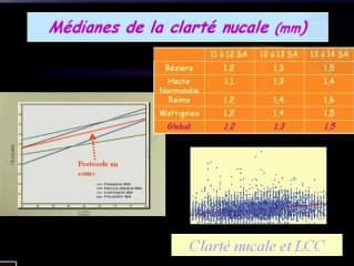 Calcul de risque intégré : principes protocole en cours