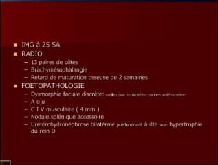 Chromosome 15 mosaique