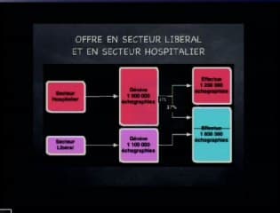 Recommandations du Comité National Technique de l’Échographie de Dépistage Prénatal. L’offre de soins actuelle et future