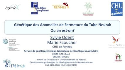 Génétique des Anomalies de Fermeture du Tube Neural : où en est-on ?