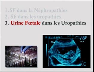 Peut-on prévoir la fonction rénale post-natale en anténatal ?