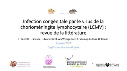 Signes échographiques de l'infection congénitale à LCMV