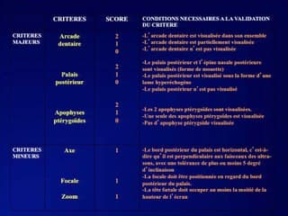 Examen échographique anténatal du palais foetal en mode 2D. Etude de faisabilité et de reproductibilité. Définition du score échographique de visualisation du palais normal