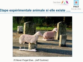 La foetoscopie, une boite à outils et de nouvelles perspectives.