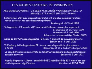Imagerie anténatale.