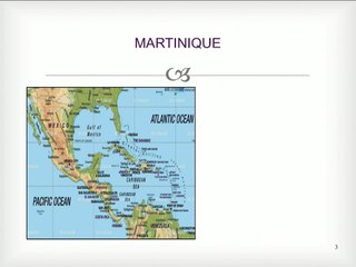 Diagnostic de l’infection à virus ZIKA chez la femme enceinte: de la clinique à la biologie.