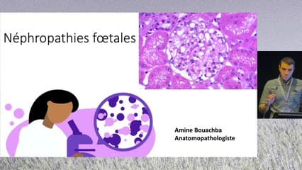 L’anapath des néphropathies fœtales pour les échographistes