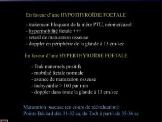 Echographie de la thyroïde foetale normale et pathologique