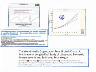 Les recommandations du CFEF