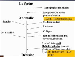Etat de l'échographie prénatale et de la médecine foetale dans les pays francophones, pays méditéranéens et les autres…