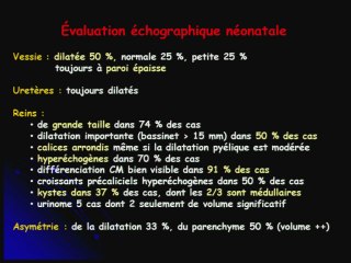 Valve de  l'urèthre postérieur : - Evaluation néonatale.