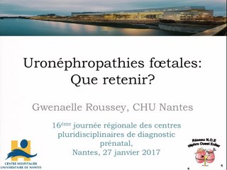 Uro néphropathies : que retenir