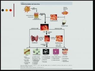 acide folique vit D et anomalies du développement