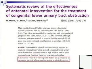 Mégavessie : le pronostic peut-il être modifié par une intervention in utero ?
