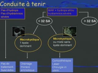 Les formes graves de la maladie adénomatoïde.