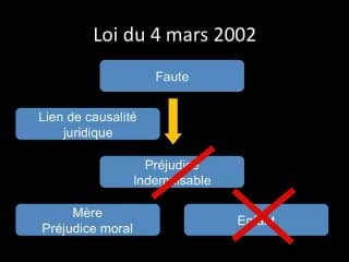 conseil constitutionnel