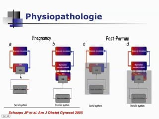 Apport des produits de contraste dans le diagnostic du placenta accreta et perspectives d’avenir