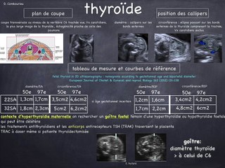 POSTER Thyroïde