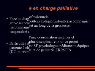 Soins palliatifs : une alternative a_ l'IMG