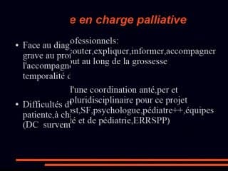 Soins palliatifs : une alternative a_ l'IMG