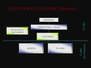 Prédire le risque de pré éclampsie au premier trimestre : pour qui, pourquoi et comment ?