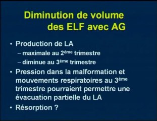 Emphysème lobaire foetal