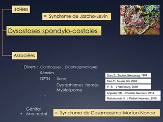Dysostoses spondylo-costales associées et syndrome de Casamassima-Morton-Nance.