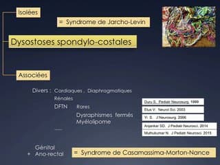 Dysostoses spondylo-costales associées et syndrome de Casamassima-Morton-Nance.