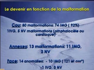 Premier trimestre : IVG ou IMG, controversé ? Résultats de l'enquête du CFEF