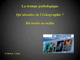La trompe pathologique ? Qu'attendre de l'échographie, du bénin au malin