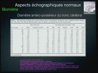 échographie de la fosse posterieure