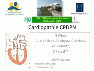 coeur : Anomalie cardiaque échographiquement isolée : double discordance