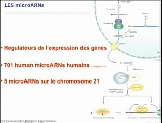 Les gènes de la trisomie 21 ou du génotype au phénotype
