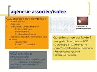 Consultation prénatale en neuropédiatrie : regards sur nos vingt ans.
