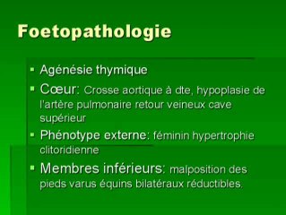 Syndrome de DI GEORGE