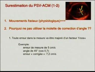 Diagnostic et prise en charge des allo-immunisations Rhésus-D en 2007