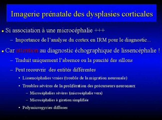 Le cortex dans tous ses états