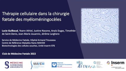 Evaluation du bénéfice de la thérapie cellulaire dans la chirurgie foetale des myelomeningoceles chez le modèle ovin