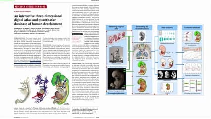 Les 10 publications marquantes en imagerie fœtale