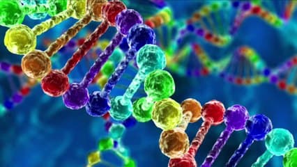 Etude 50-250 : faut-il continuer à ne pas faire de prélèvement ovulaire ?