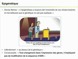 L’ÉPIGÉNÉTIQUE C’EST QUOI