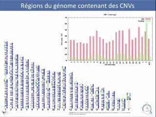 Les examens pangénomiques (CGH, exome...) :une révolution pour le clinicien ?