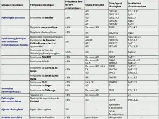 Discussion autour d'un petit menton.