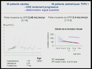 La pathologie liée à la mutation HNF-1béta/TCF2