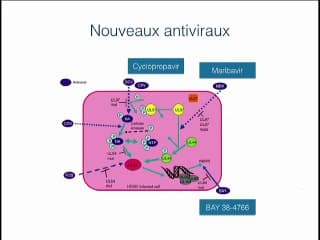 CMV : Prévention et traitements
