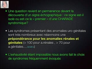 Anomalies uro-génitales : simple problème de tuyauterie ou gros soucis ?