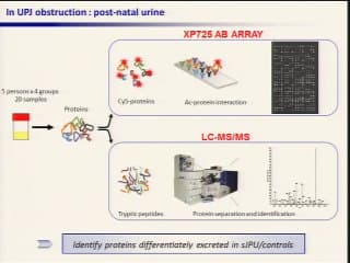 Que peut apporter la protéomique urinaire ou amniotique.