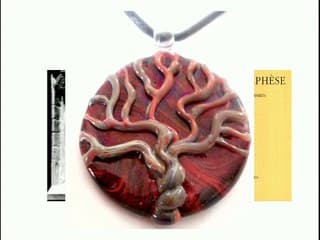 Le placenta : du diagnostic au pronostic.