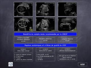 POSTER Biométrie CNEOF