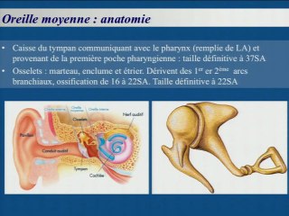 Le rocher du foetus : un sommet insurmontable ?